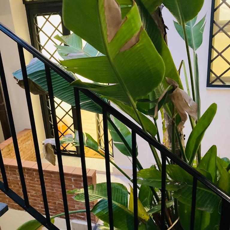 Lavica Di Mezzo Apartments - One-Bedroom Apartment - 33