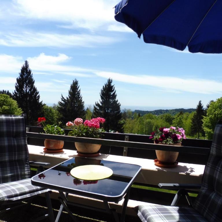 Komfortable Wohnungen und Studio in Sankt Englmar - Apartment mit schöner Aussicht - 6