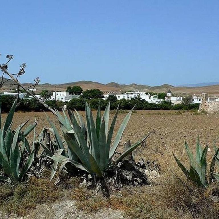 Cortijo los Garridos - 6 huéspedes - Casa de 3 dormitorios - 47