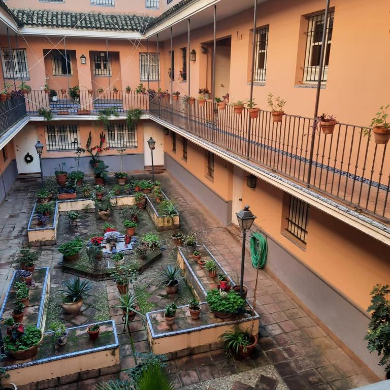 Cozy in Seville - Apartamento de 2 dormitorios - 19