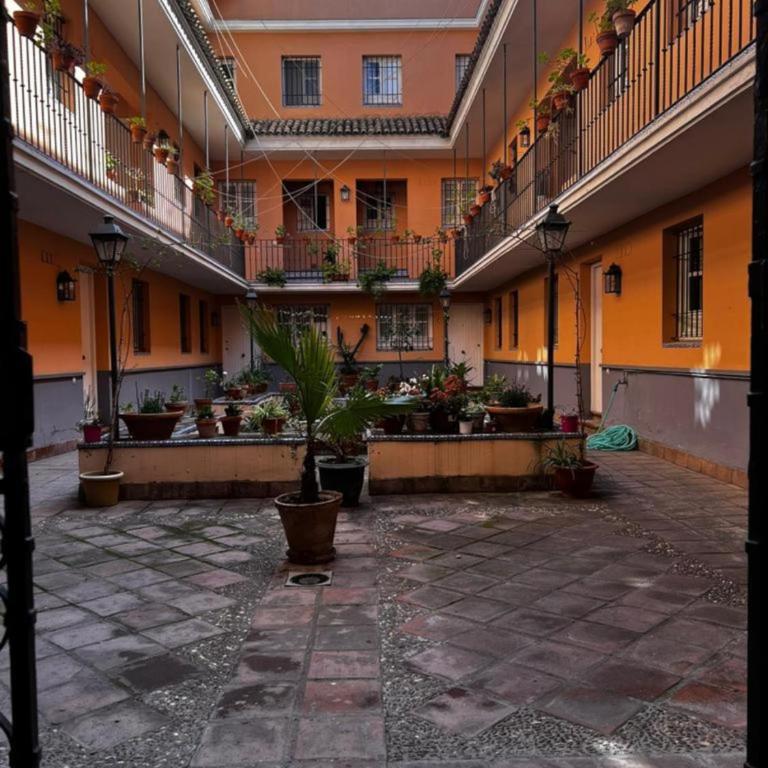 Cozy in Seville - Apartamento de 2 dormitorios - 20