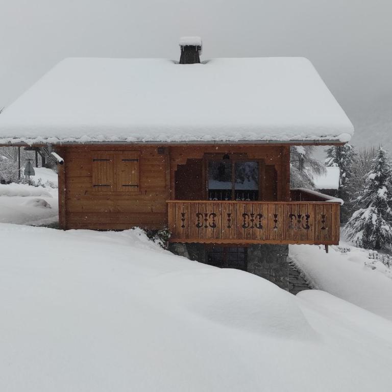 Chalet moderne avec jacuzzi, animaux admis, Morillon - Chalet 3 Chambres - 19