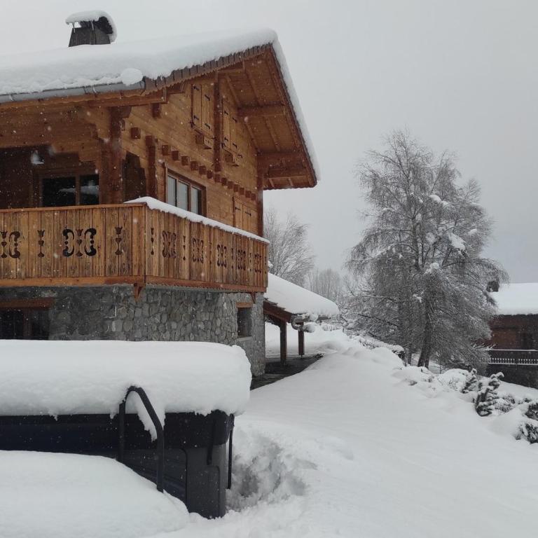 Chalet moderne avec jacuzzi, animaux admis, Morillon - Chalet 3 Chambres - 20