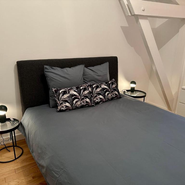 Bel Appartement avec parking au coeur de Reims - Appartement 2 Chambres - 15