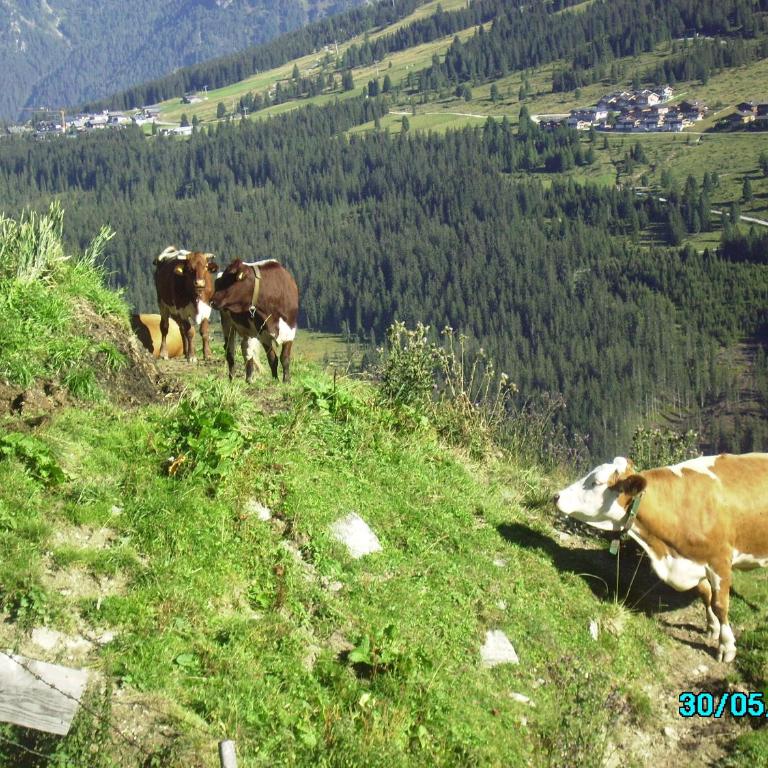 Chalet Anna Appartment - Two-Bedroom Apartment - 20