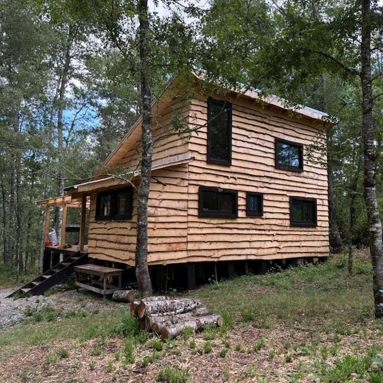 Cabaña Chucao, Nativo Lodge, Araucanía Andina - Chalet de 2 dormitorios - 5