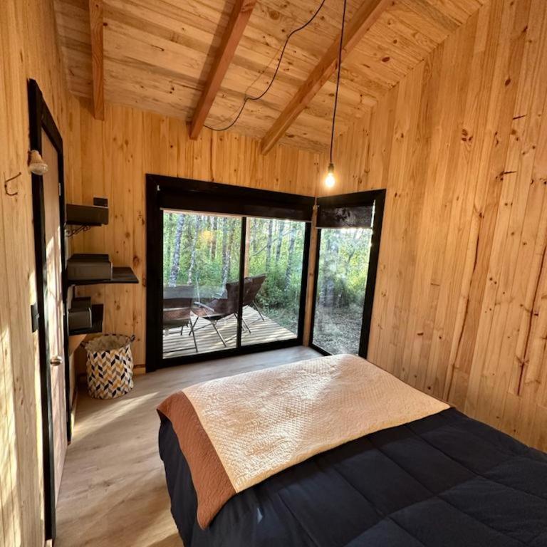 Cabaña Chucao, Nativo Lodge, Araucanía Andina - Chalet de 2 dormitorios - 9