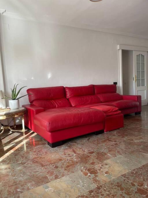Cal SalMaré seafront apartment with rooftop terrace and pool - Apartamento de 2 dormitorios - 19