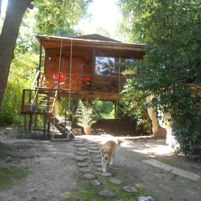 Cabaña Los Alcanfores - Casa de 2 dormitorios - 28