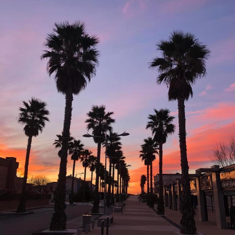 Résidence Le SUNSET Marseillan-plage, entre mer, canal du midi et lagune de Thau, étape vélo, famille, couple, VRP, toutou admis, jardin, parking privé gratuit, vélos, Clim, WIFI fibre gratuite, commodités, plage et piste cyclable à proximité - Apartamento de 2 dormitorios - 39