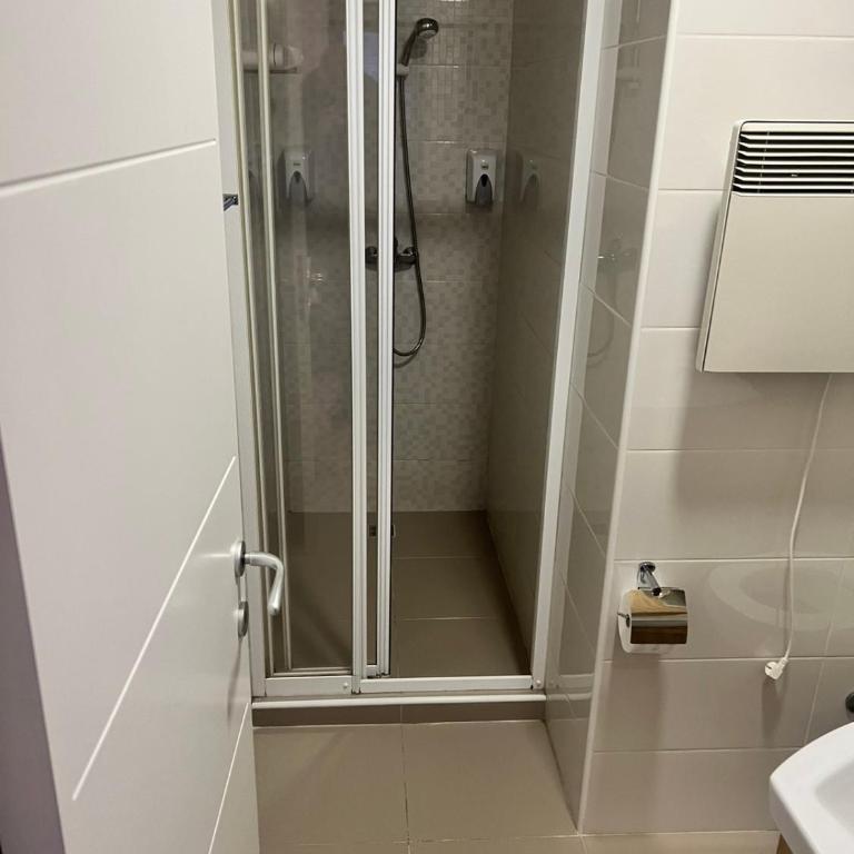 Vila Lago Apartman Podgorac br.4 - One-Bedroom Apartment - 2