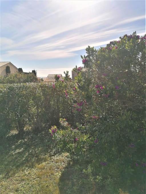 Appartement Mas de la Mer, 5mn plage, piscine - Apartamento de 2 dormitorios - 11