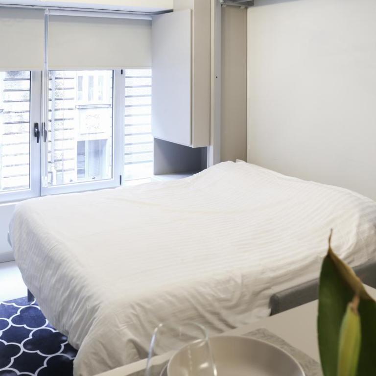 Apartments Srbija Waterfront - FREE PARKING - Studio sa Besplatnim Parkingom - 5