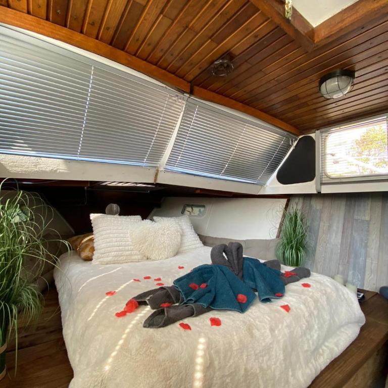 Bateau Fellowship - Casa Mobile - 5