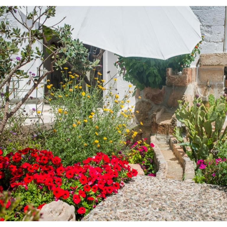 Masseria Verbena Agriturismo - Suite Deluxe con Vasca Idromassaggio - 1