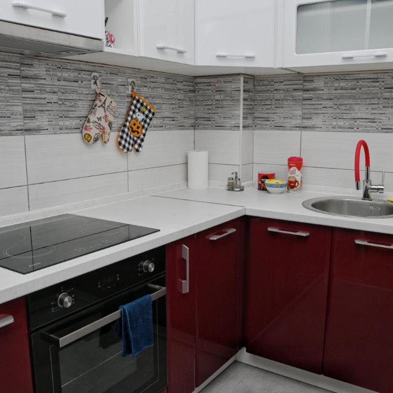 Z&R SUNLIGHT - Apartman sa 1 Spavaćom Sobom - 21