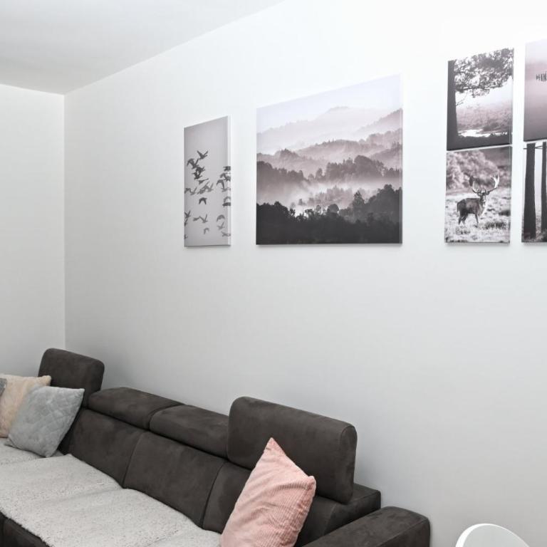 Z&R SUNLIGHT - Apartman sa 1 Spavaćom Sobom - 14