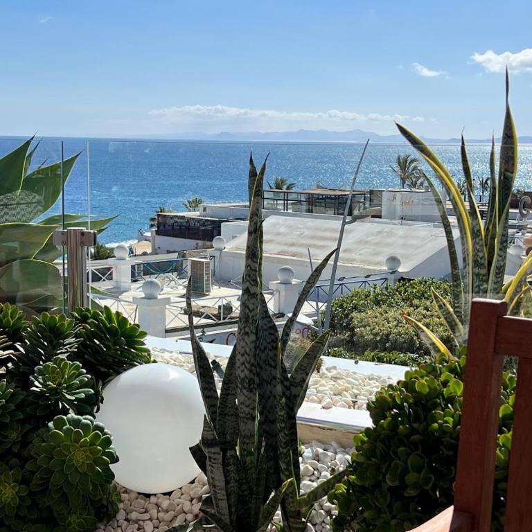 Casa Laura - Three-Bedroom Villa - 91