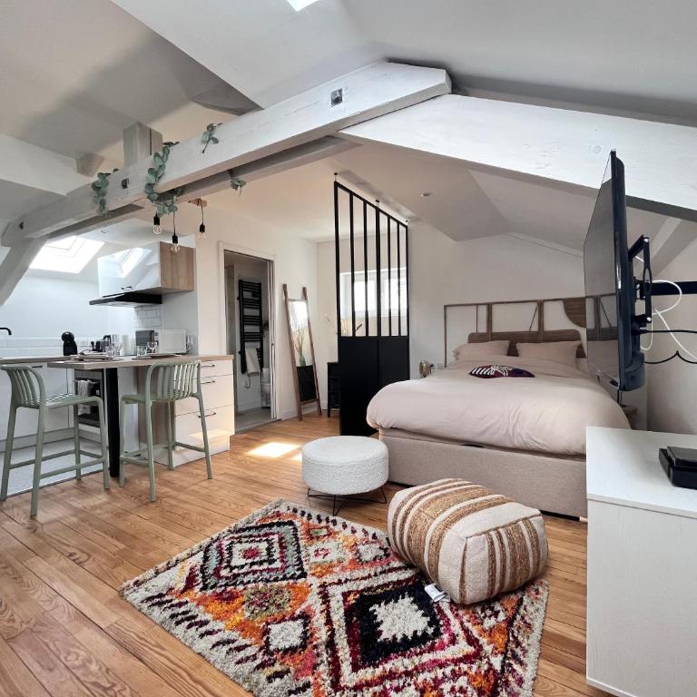 Superbe studio plein de charme proche du centre Tonnet - Appartement 1 Chambre - 12