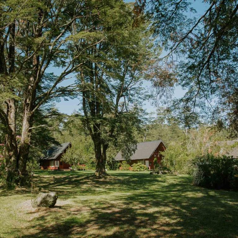 Cabañas Metreñehue - Parque Metreñehue - Bungalow (6 adultos) - 18