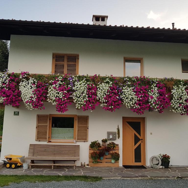Ferienwohnung Frieda - Apartment mit 1 Schlafzimmer - 33