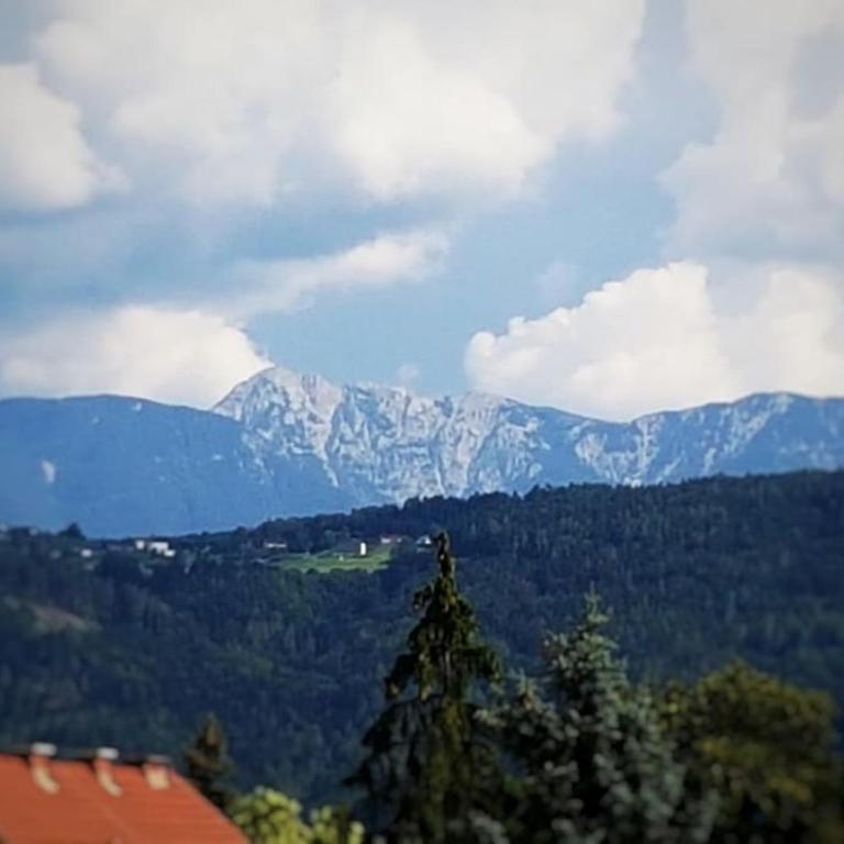 Ferienwohnung Klagenfurt - Apartment mit 1 Schlafzimmer - 18