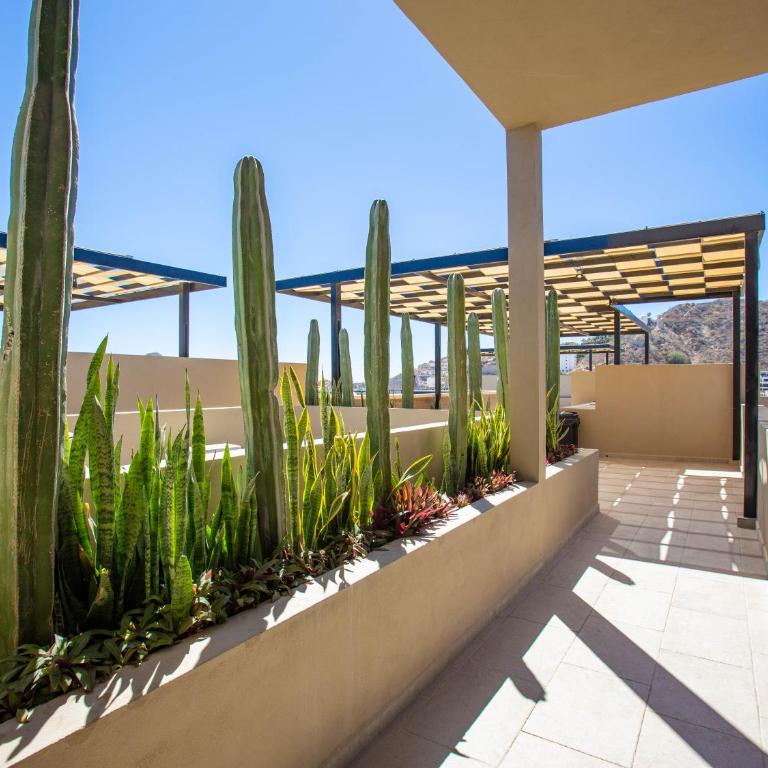 Sea Esta - Terra 194 - Apartamento - 44