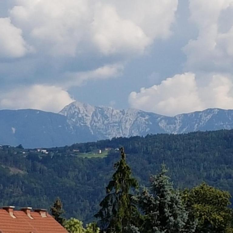 Ferienwohnung Klagenfurt - Apartment mit 1 Schlafzimmer - 20