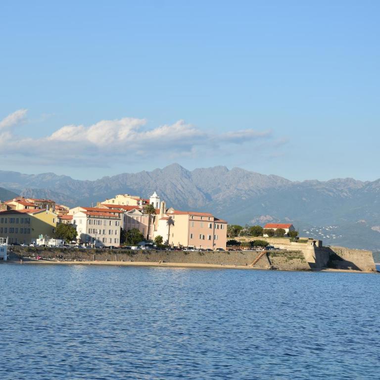 Magnifique appartement avec balcon vue mer à l'entrée d'Ajaccio - Appartement - Vue sur Mer - 32