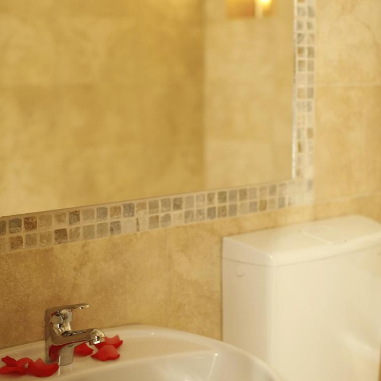 Garni Hotel Vozarev - Economy Dvokrevetna Soba s Bračnim Krevetom i Parkingom - 3