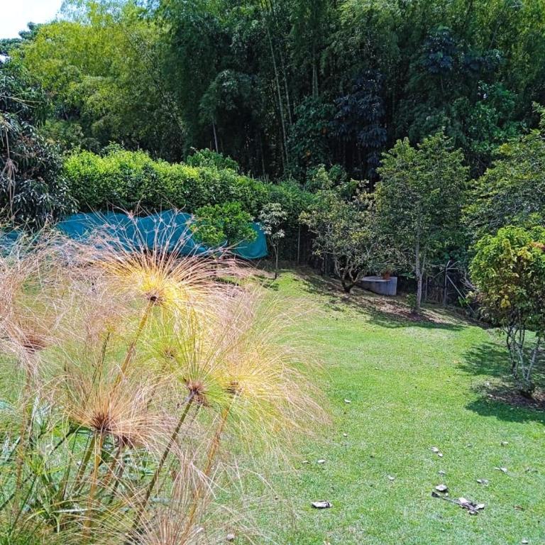 Casa 22 Alcaravanes - Villa - 29