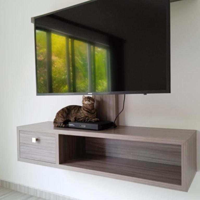 Casa 22 Alcaravanes - Villa - 63