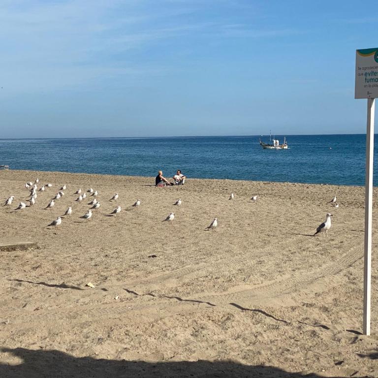 TERRAZAS DEL MAR with POOL - Apartamento de 2 dormitorios - 33