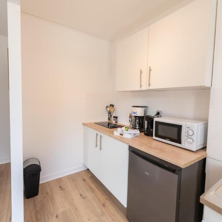 LE DAUPHIN - Place parking privée gratuit - WIFI et TV - Studio - 21