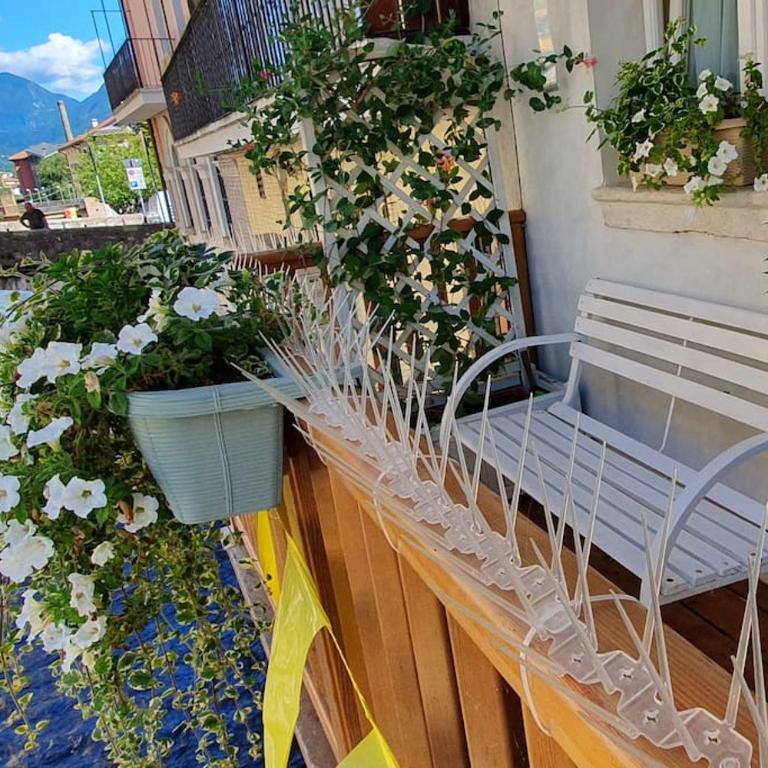 Piccola Venezia - Borgo Valsugana - Appartamento con 2 Camere da Letto - 57
