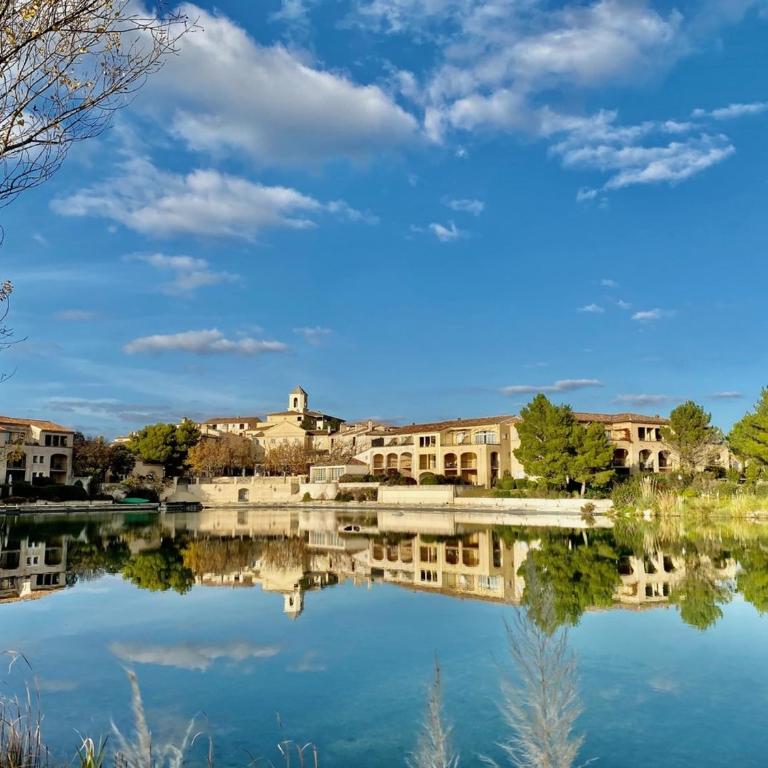 Maison de Vacances en Provence avec Piscine à Pont Royal - FR-1-658-22 - Maison de Vacances - 9