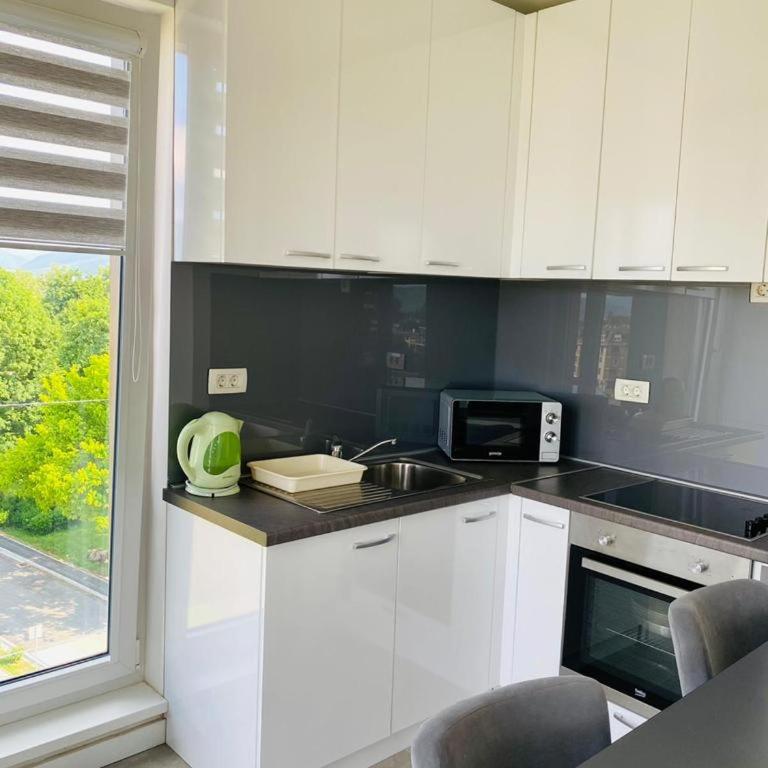 Ilidza River Apartments - Apartman sa 1 Spavaćom Sobom - 13