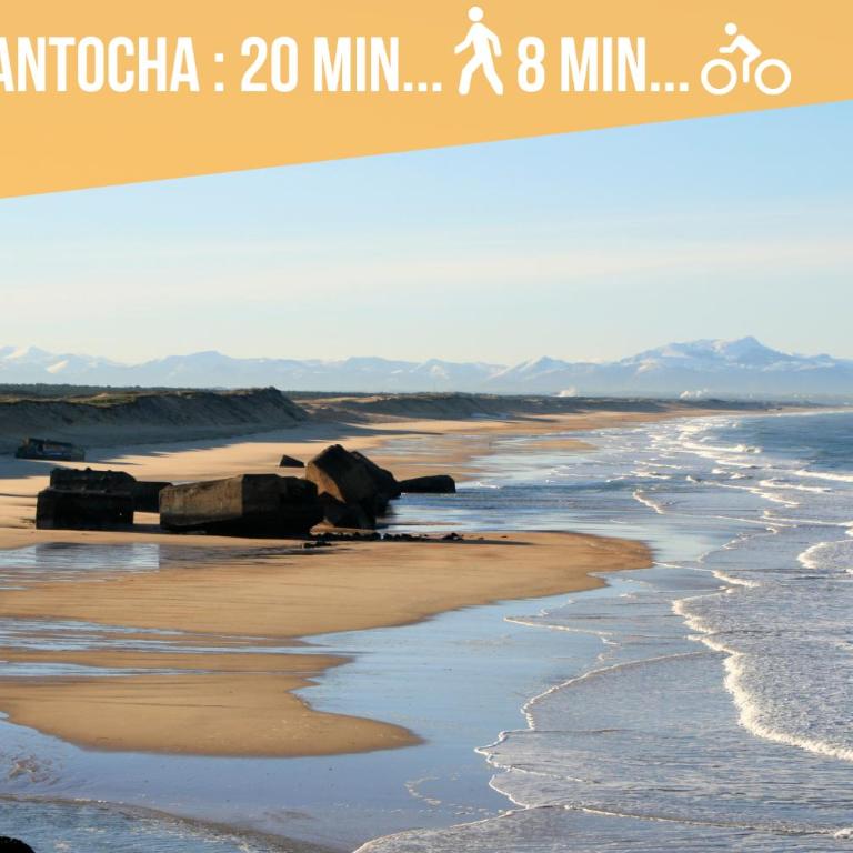 * Capbreton * T3 * Hypercentre * Plage * Famille - Appartement 2 Chambres - 39