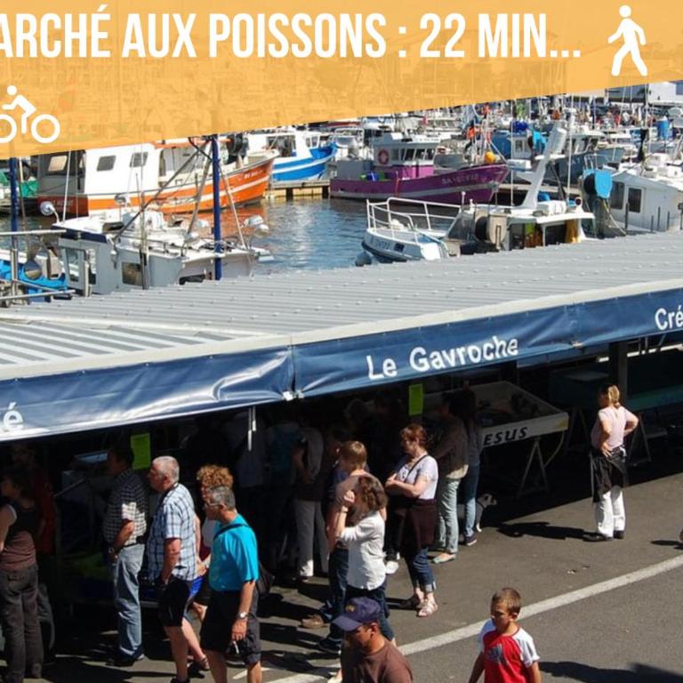 * Capbreton * T3 * Hypercentre * Plage * Famille - Appartement 2 Chambres - 41
