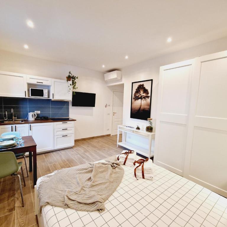Messer Dario in Florence - Appartamento con 1 Camera da Letto - 13