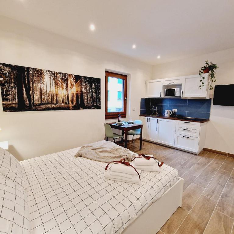 Messer Dario in Florence - Appartamento con 1 Camera da Letto - 1