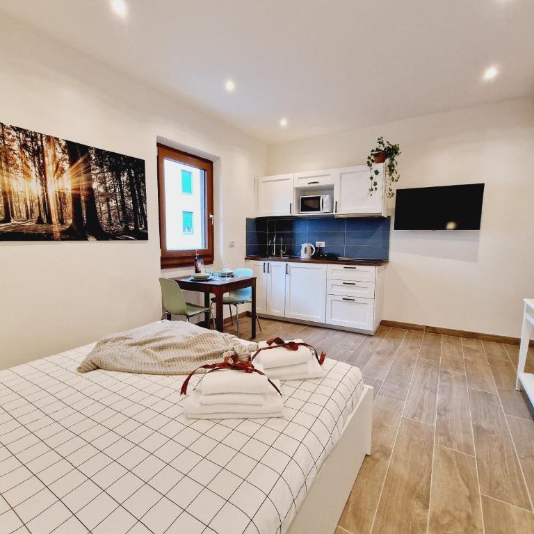 Messer Dario in Florence - Appartamento con 1 Camera da Letto - 11