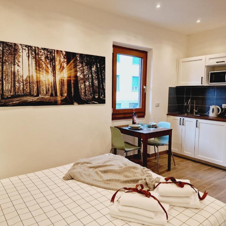 Messer Dario in Florence - Appartamento con 1 Camera da Letto - 28