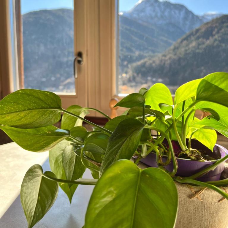 Residenze Vezza - Home sweet home- - Apartment - 42