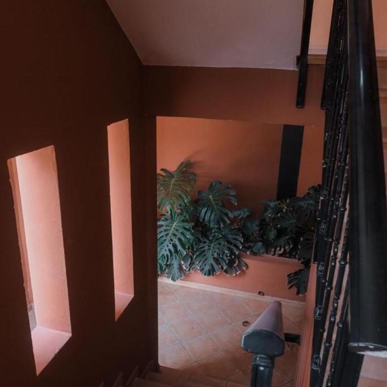Topkapi - Apartamento de 2 dormitorios - 21