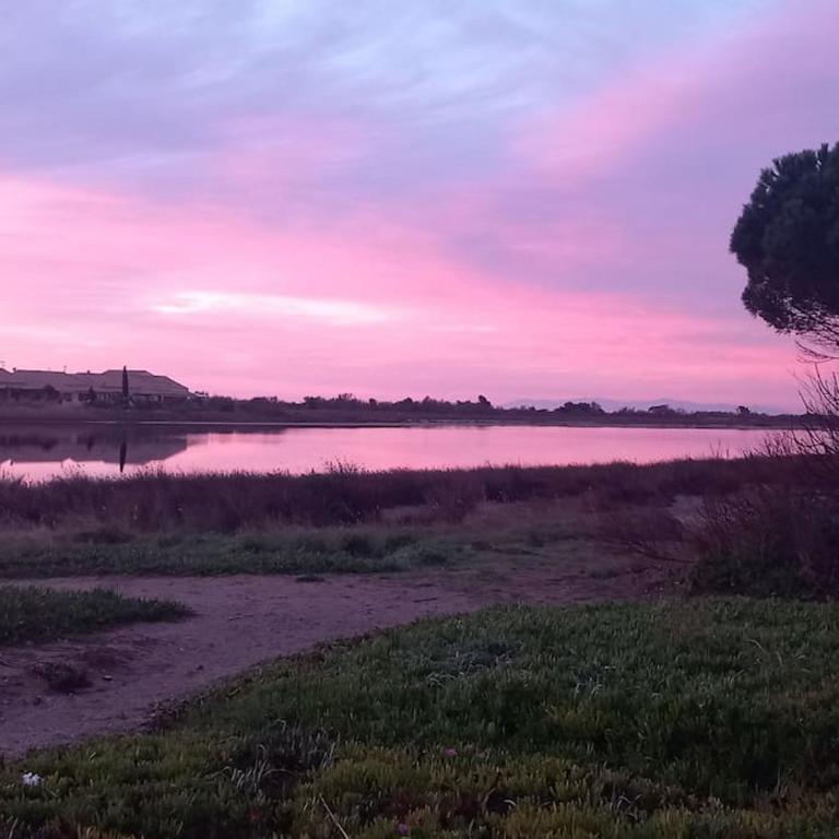 Appartement avec jardin, vue sur étang , proximité mer Gruissan Ayguades - Appartement 1 Chambre - 11