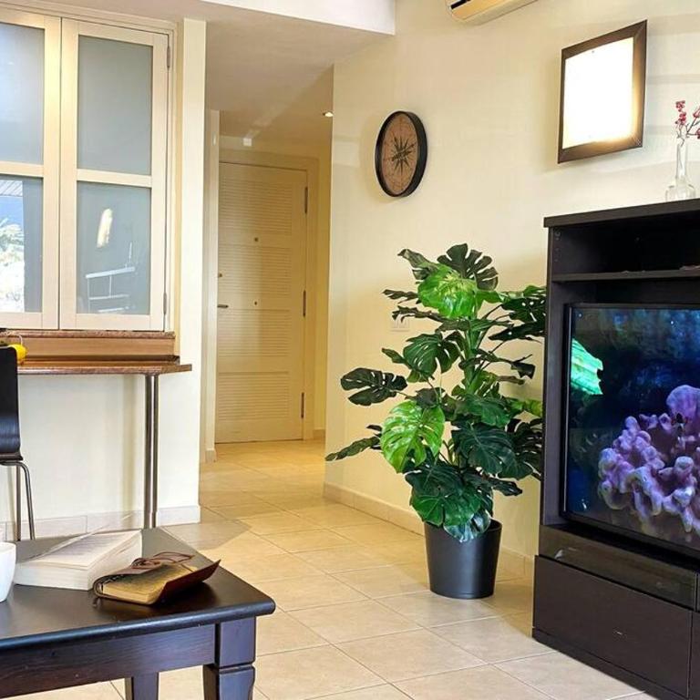 Sea Harbor - Balcon de los Gigantes - Apartamento de 2 dormitorios - 11