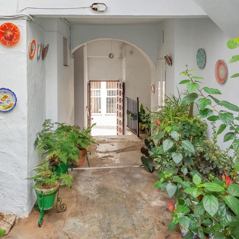 Awesome Apartment In Vejer De La Frontera - Apartamento de 2 dormitorios - 11