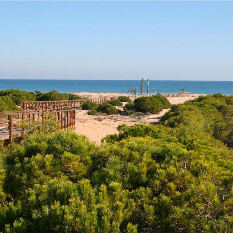 Beautiful Apartment In Santa Pola - Apartamento de 2 dormitorios - 31