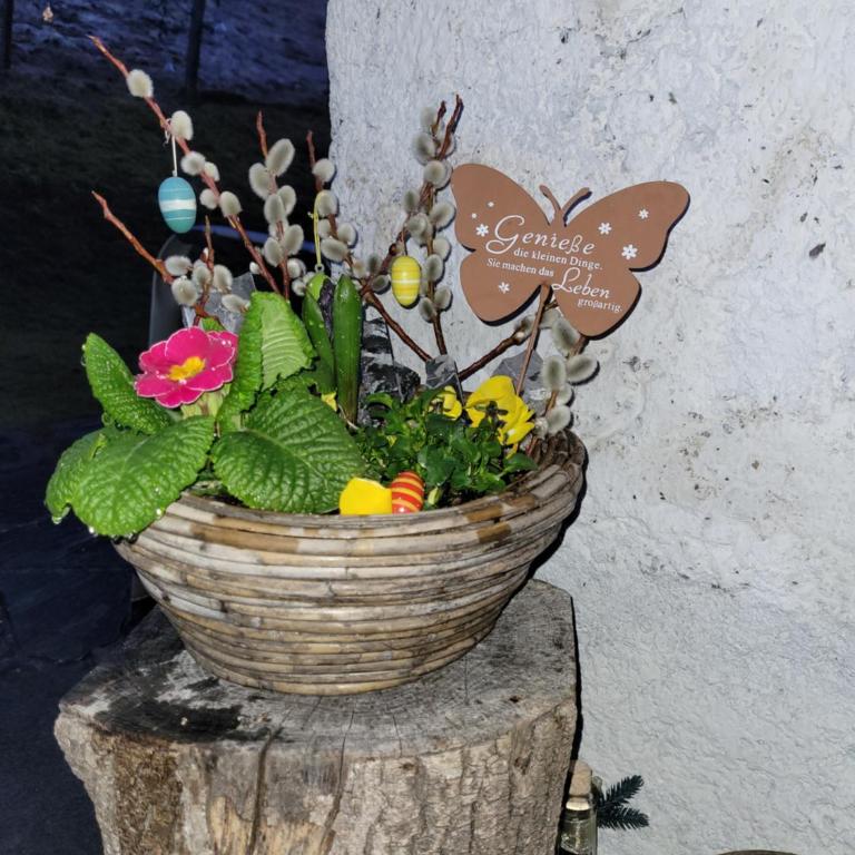 Ferienhaus Gastein - Chalet - 31
